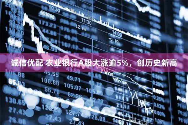 诚信优配 农业银行A股大涨逾5%，创历史新高