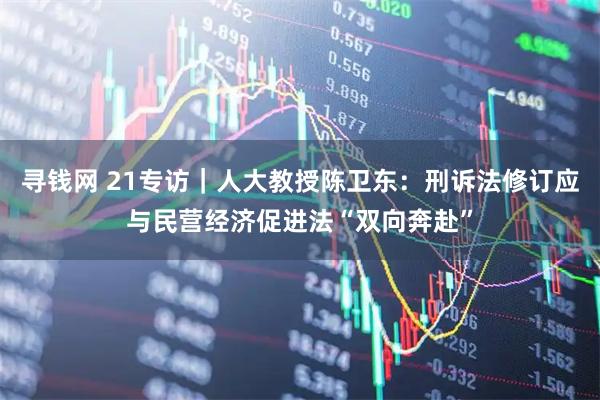 寻钱网 21专访｜人大教授陈卫东：刑诉法修订应与民营经济促进法“双向奔赴”