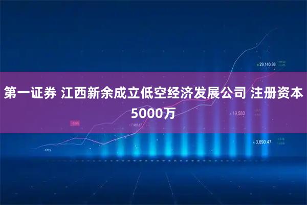 第一证券 江西新余成立低空经济发展公司 注册资本5000万