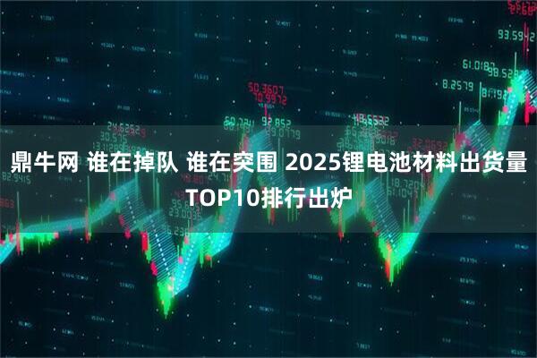 鼎牛网 谁在掉队 谁在突围 2025锂电池材料出货量TOP10排行出炉