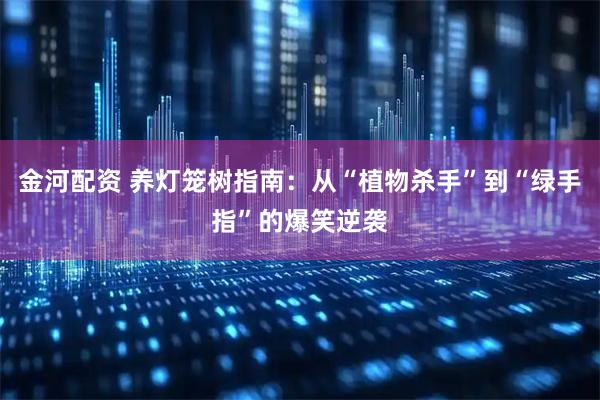 金河配资 养灯笼树指南：从“植物杀手”到“绿手指”的爆笑逆袭