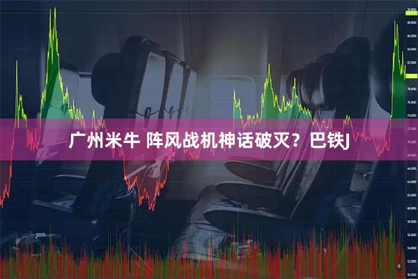 广州米牛 阵风战机神话破灭？巴铁J