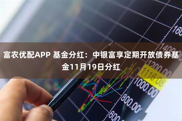富农优配APP 基金分红：中银富享定期开放债券基金11月19日分红